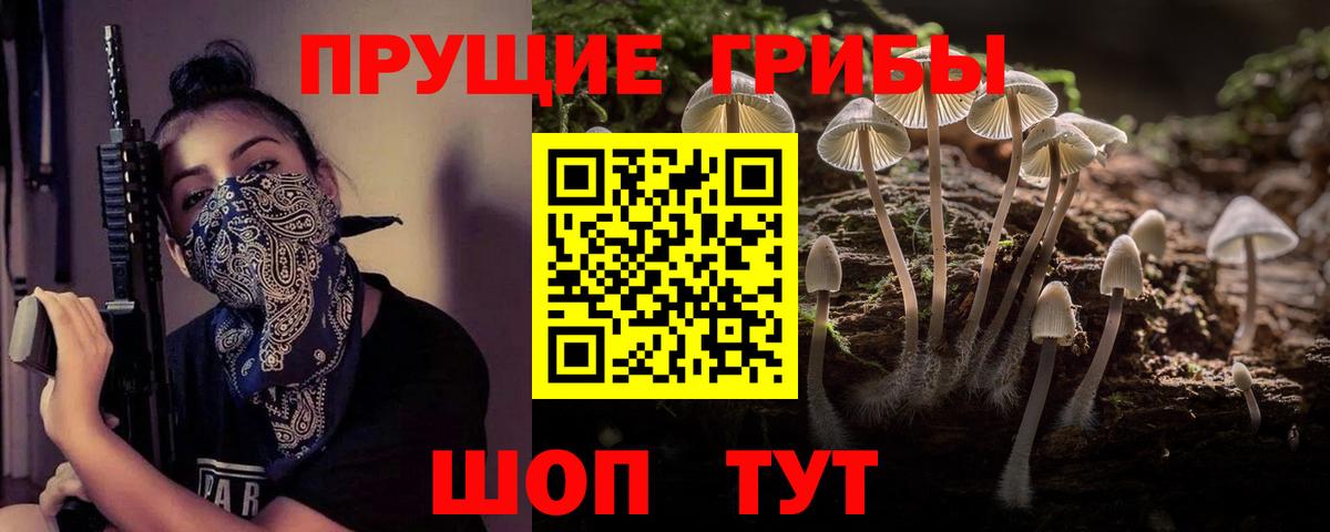 сколько стоит  Галлюциногенные грибы Psilocybe  Вход с VPN  Десногорск 